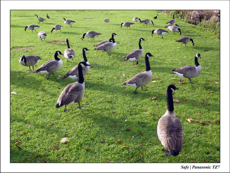 2010 - 10 - Stamford 20